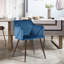 Sofiya 47cm H Velvet Upholstered Armchair-88674284-88674285