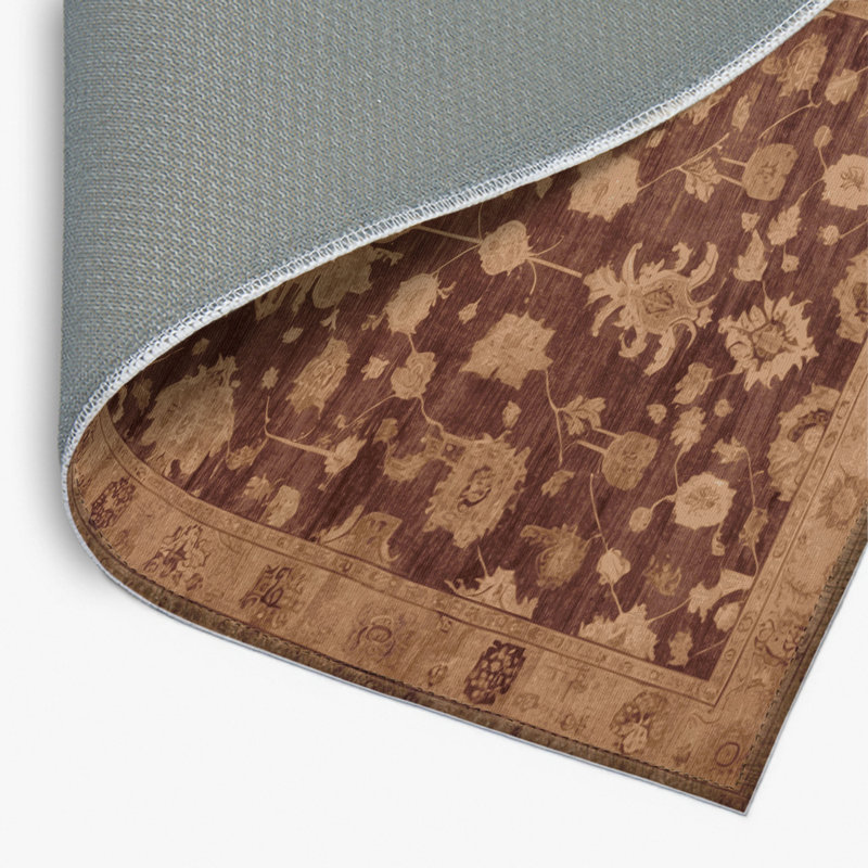 Overdyed Brown Indoor and Outdoor Area Rug, Rectangle 4' x 6'