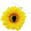 Panier à tournesol
