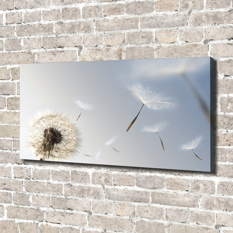 Dandelion - Wrapped Canvas Print