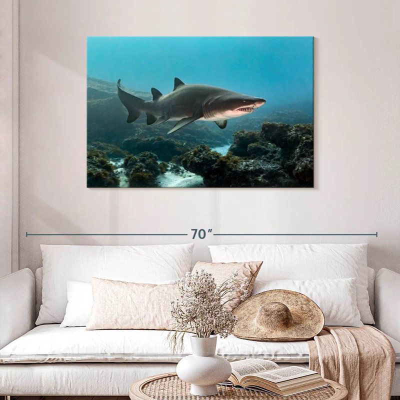 Aliwal Shoal Shark, 30" H x 45" W