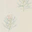 Protea Flower Wallpaper-50888886