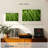 Yarlin Peas-108034047