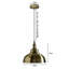 Reidy 1 - Light Gold Dome Pendant