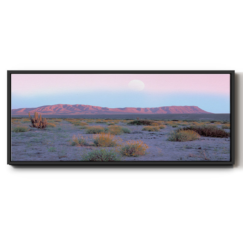 «Vallenar Atacama Desert», toile encadrée, H 12 po x l 30 po