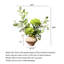 Arrangement floral Wabi Sabi