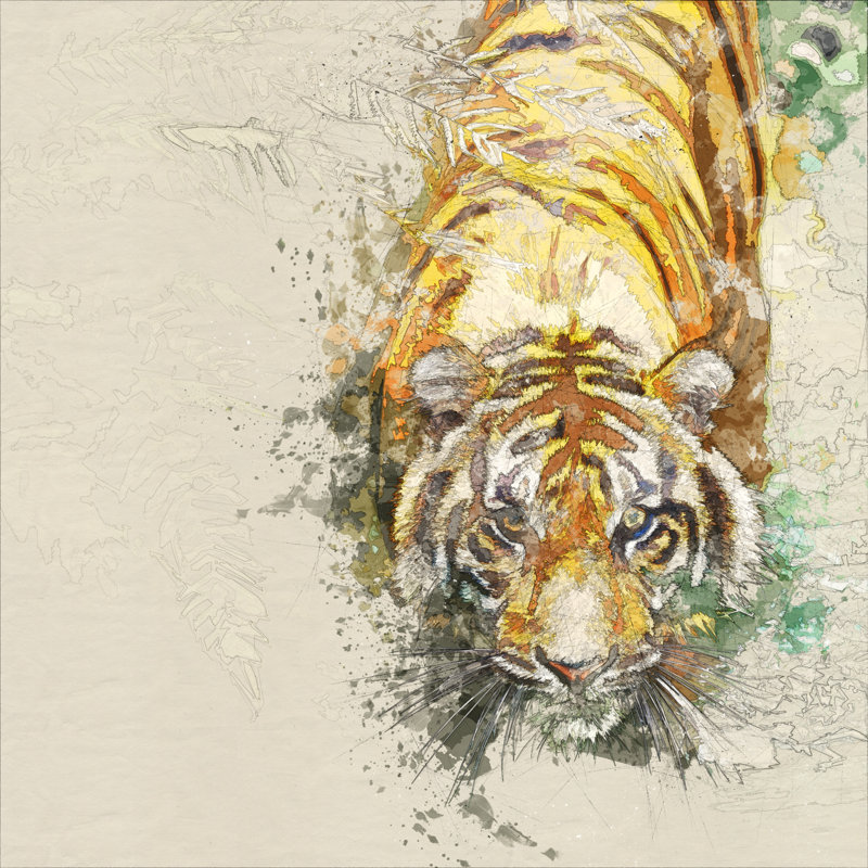 Bengal Tiger by Thepalmer - Wrapped Canvas Print, 76cm H x 76cm W x 3.8cm D