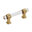 Clear/Champagne Bronze