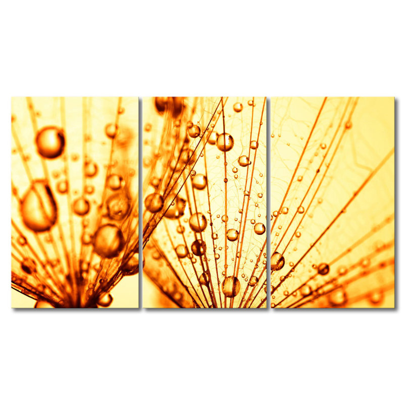 3 Piece Wall Art on Canvas