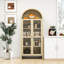 Rangement de cuisine moderne Amar, grande armoire de 68,7 po avec tablettes réglables, porte en acrylique pour une armoire ordonnée, porte, transformant votre espace de rangement en style