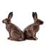 Salt And Pepper - Rabbit - Hare