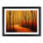Black Framed selected