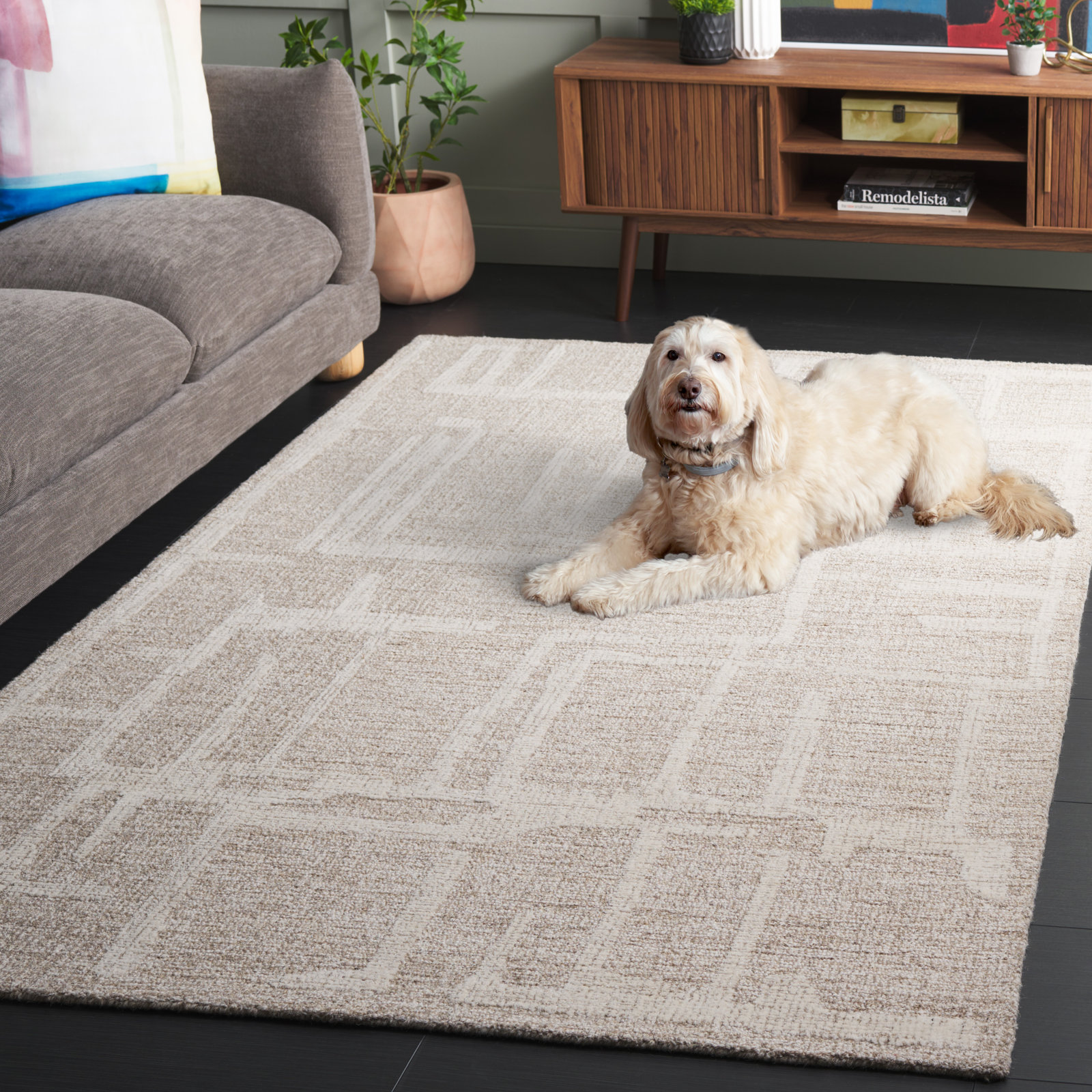 Galipeau Hand-Tufted Abstract Wool Rug, Rectangle 5' x 8'