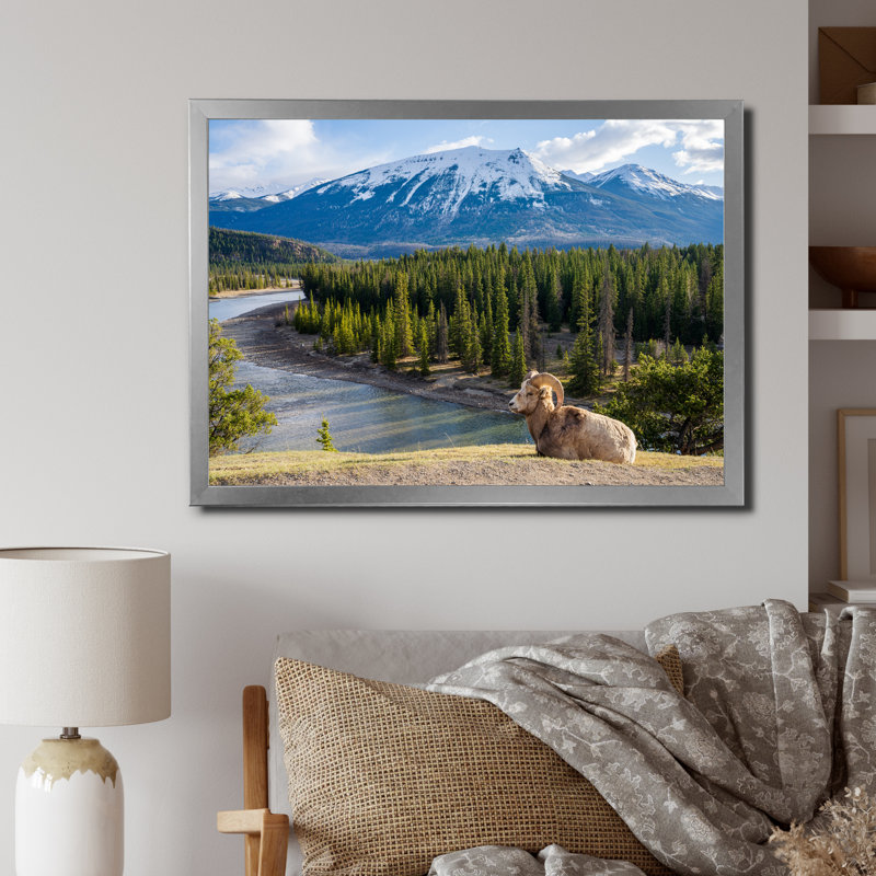 Faune sauvage, paysage de l'Alaska II, Cadre photo argenté, H 24 po x l 32 po x P 1 po