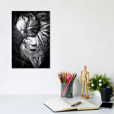 Yin And Yang- Gallery-Wrapped Canvas Giclée
