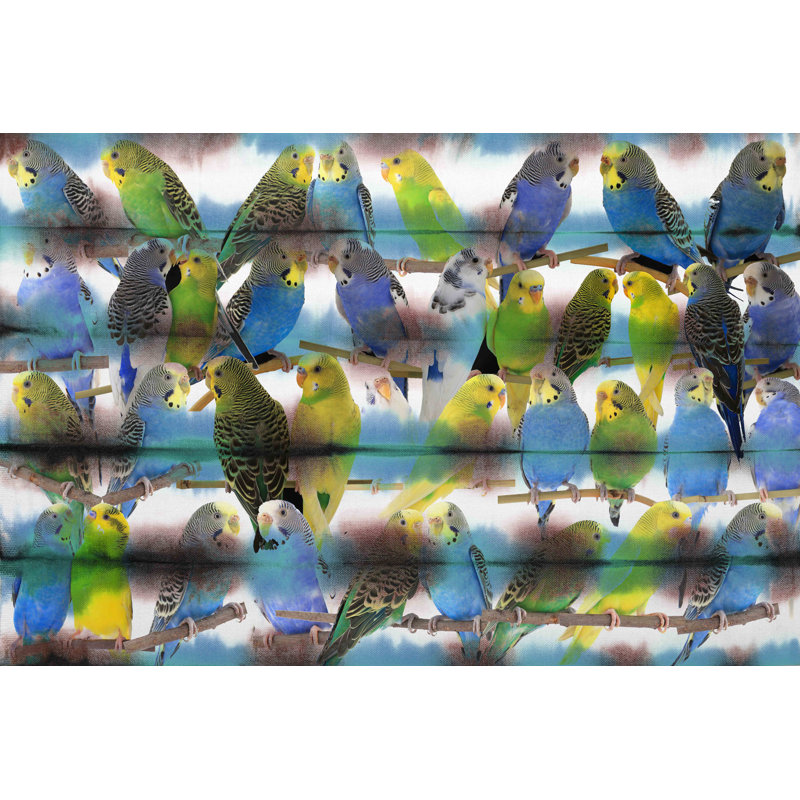 « parakeets » par parvez taj,, reproduction d’art sur toile tendue, H 12 po x l 18 po