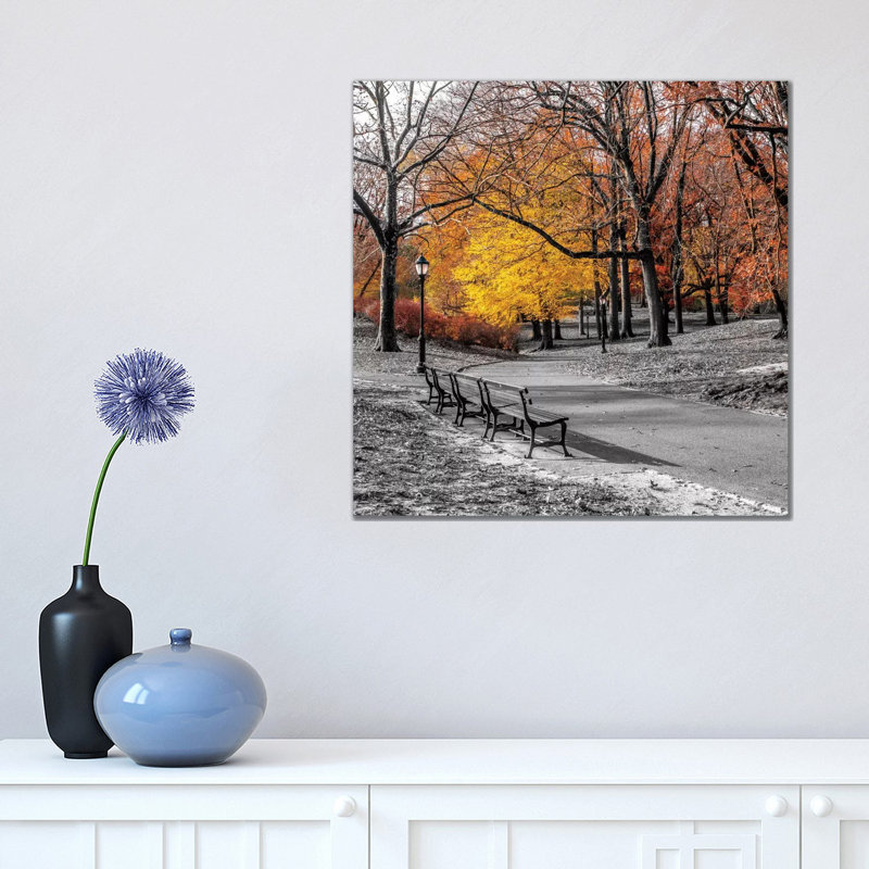 Park Pretty I by Assaf Frank - Print on Canvas, Wrapped Canvas, 45.72 cm H x 45.72 cm W x 1.91 cm D