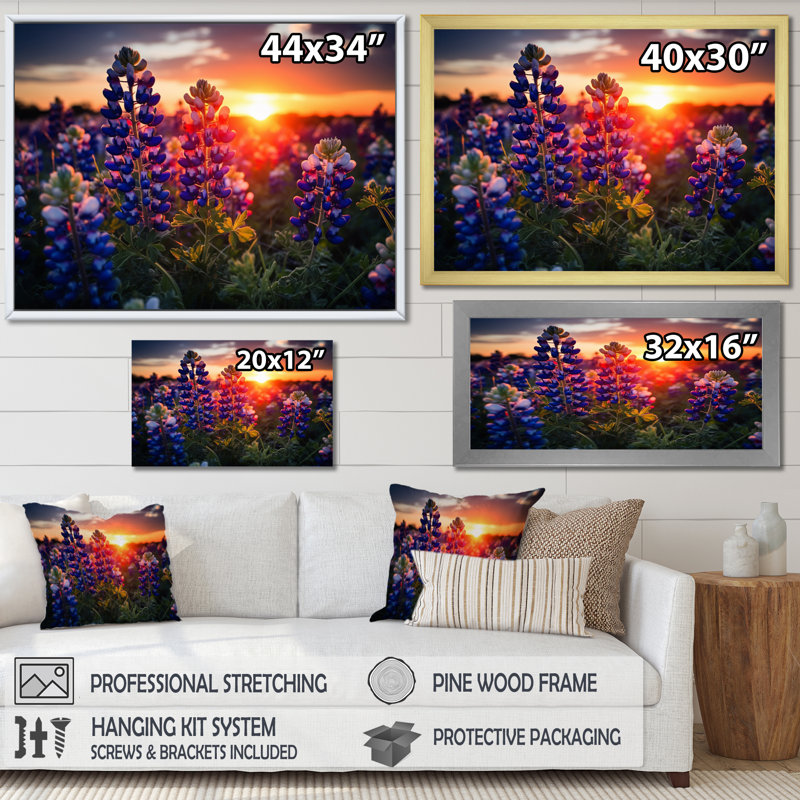 Sunrise Blue Bonnets Field I - Décoration murale bonnets bleus, Cadre flottant doré, H 30 po x l 40 po x P 1,5 po