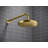 Awaken Showering Kit 2.5 Gpm-95975514