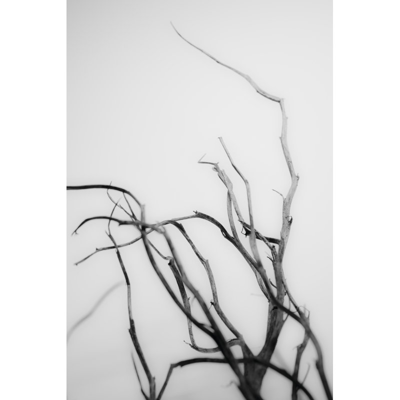 Recherche de branches II, H 12 po x l 8 po