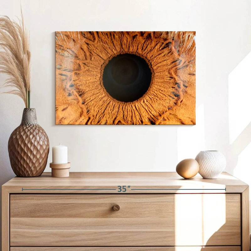 Alcaraz Brown Iris, 16" H x 24" W