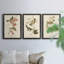 Oiseau de riz Wandering, reproduction d'art sur toile-1813864136-1813864139