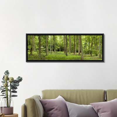 «Spring in Thetford Forest, Norfolk, England», reproduction de photo panoramique sur toile