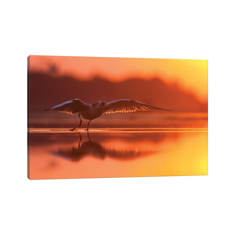 Ballerina by Mateusz Piesiak - Wrapped Canvas Print, 20.32 cm H x 30.48 cm W