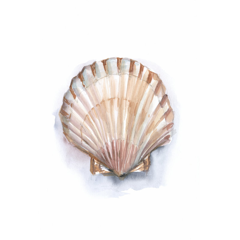 Pastel Shell Collection III by Ethan Harper - No Frame Print on Canvas, 46cm H x 30cm W x 3.8cm D