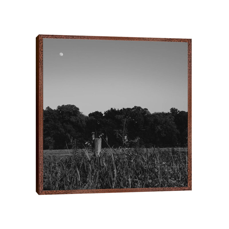 Summer Moon II by Bethany Young - Print on Canvas, 45.72cm H x 45.72cm W x 3.81cm D, Classic Brown Wood Framed