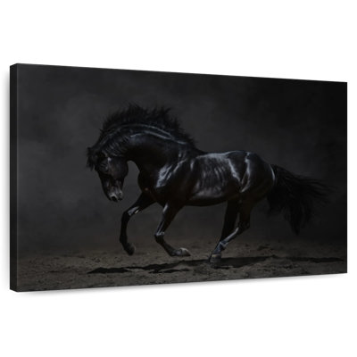 Brampt Dark Horse