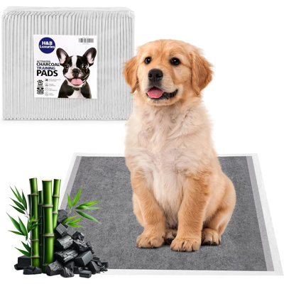Coussins de dressage pour chien jetables H & b Luxures, 56 x 58 cm, à charbon actif, avec 6 couches de protection contre les fuites, super absorbant et éliminant les odeurs (paquet de 40) - X0041d4po