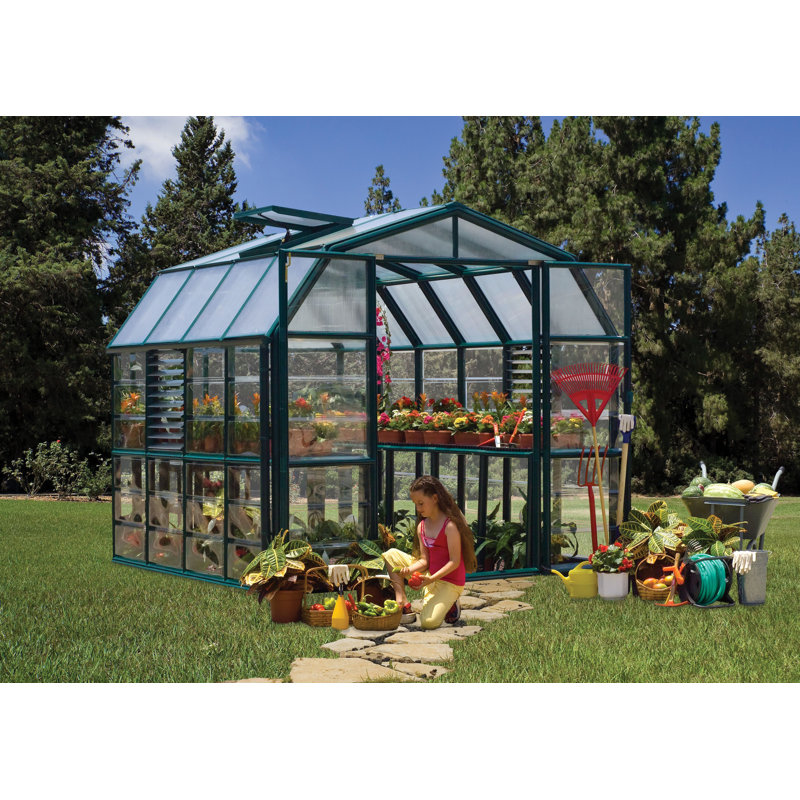 Palram - Canopia Prestige 2 - 8' W x 8' D Walk-In Hobby Clear Polycarbonate Resin Frame Greenhouse with Starter Kit - Green
