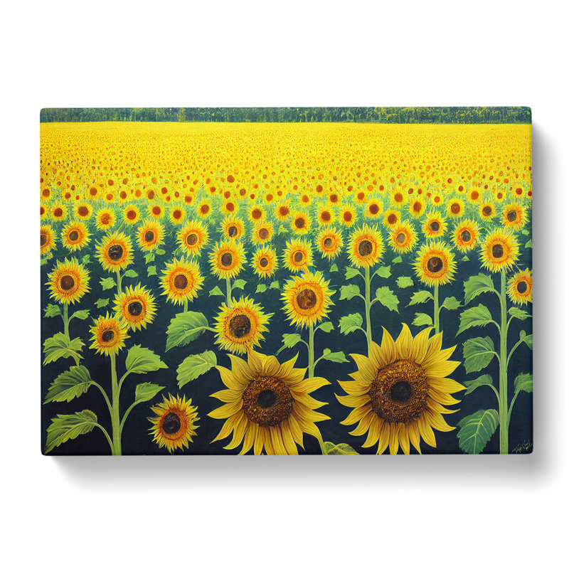 Ultimate Sunflower Field - Wrapped Canvas, 50cm H x 76cm W x 3cm D