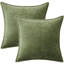 Ensemble de 2 housses de coussins décoratifs, housses de coussin souples 18 po x 18 po, vert sauge