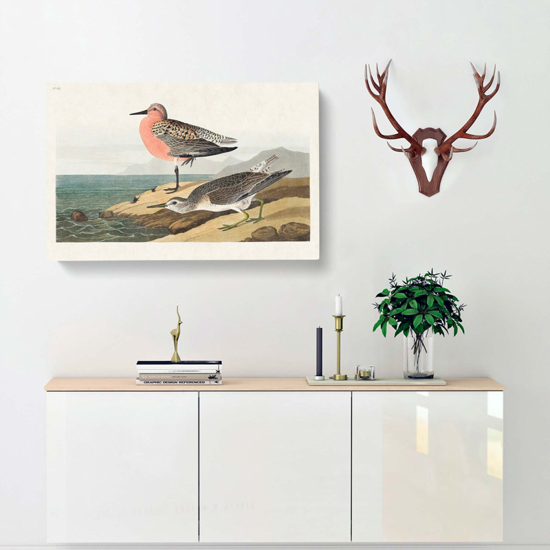 Sandpiper by John Audubon - Wrapped Canvas Print, 40cm H x 60cm W x 3cm D