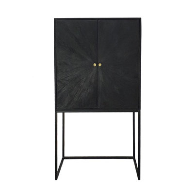 2-Door Cabinet