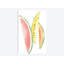 " Melon Slices " by Melissa Selmin-31708589-73274395-73274404