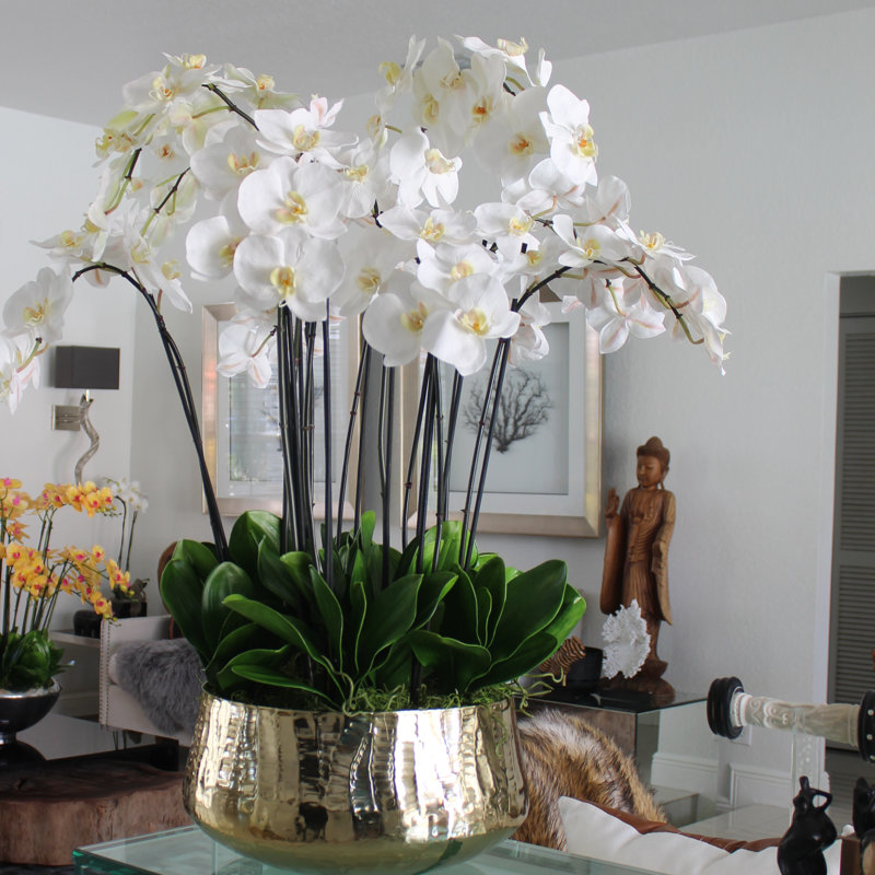 White Phalaenopsis Orchid Arrangement with Gold Planter, 28" Height