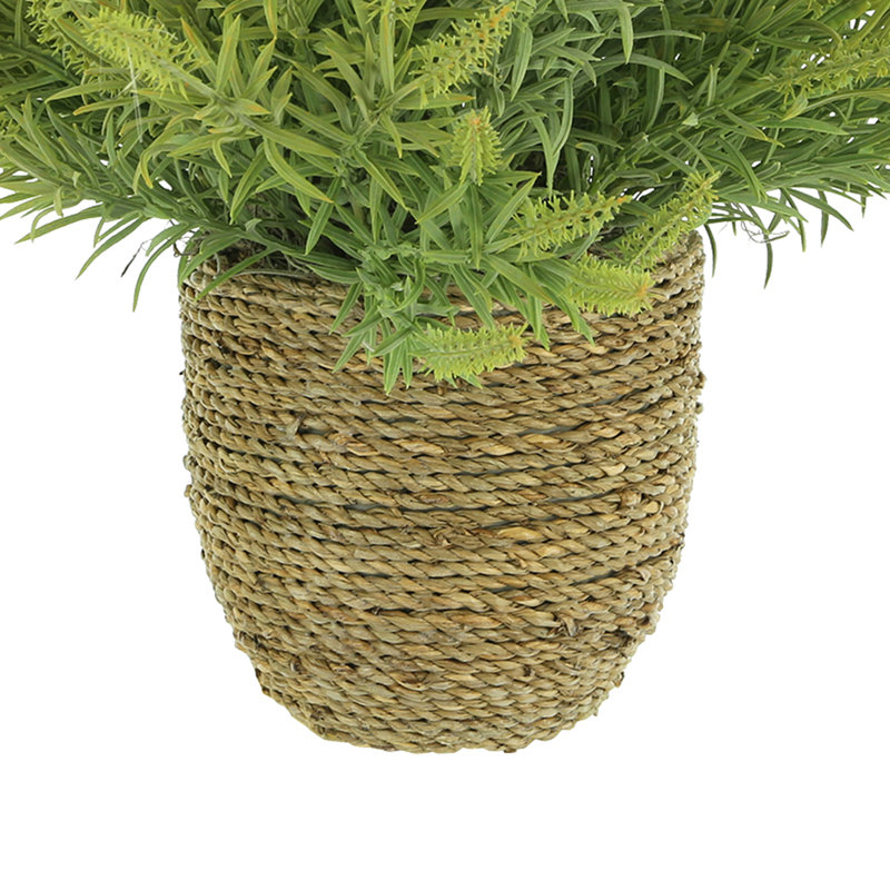 Astilbe Arrangement in Strawgrass-Wrapped Pot