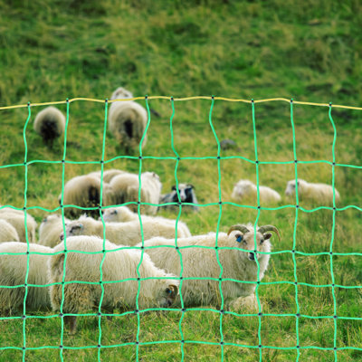 Static Electric Fence