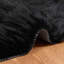 Solid Colour Standard Area Rug-1656187529