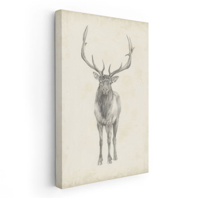 Elk Study - Canvas Print Wall Art