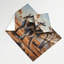 Tapisserie murale kangourou sauvage-133638498