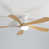 White with Natural Wood Blades is out of stock