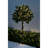 Outdoor Battery-Operated Multi-Function 400 LED String Lighting