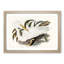Australian Egret by Elizabeth Gould - Single Picture Frame Painting-55456811-55456810