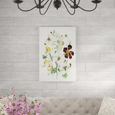 British Butterflies IV - Painting Print