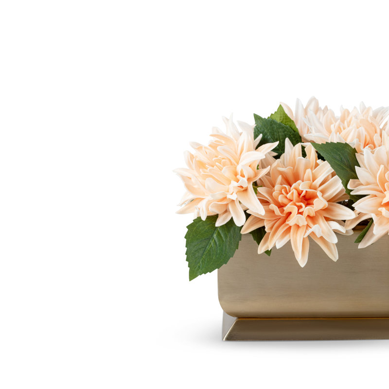 Auge dorée Carlotta RealTouch Dahlia, Peach