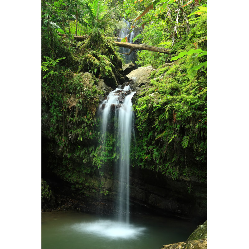 Tropical Cascade by Lightphoto - Wrapped Canvas Print, 46cm H x 30cm W x 3.8cm D